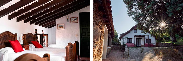 Corpo Misterio - SENTIMIDAD